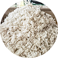 Zhangjiagang Boxin Machinery Co., Ltd.